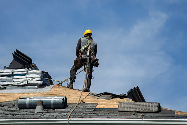 Professional Roofing technician working in Dundee, KY